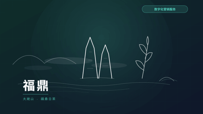 福鼎网站建设服务